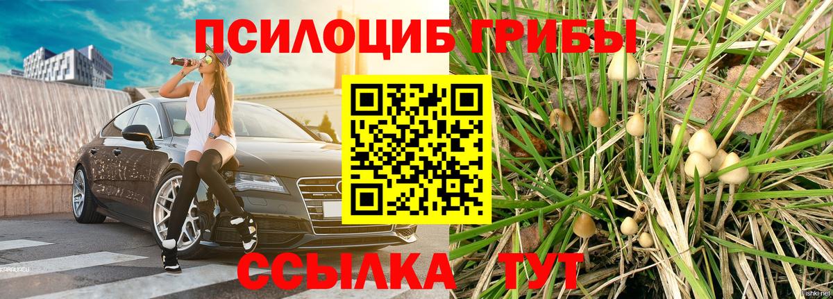 Галлюциногенные грибы мухоморы  закладка  Гусь-Хрустальный  Вход с VPN 